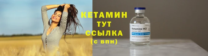 прущие крисы Надым