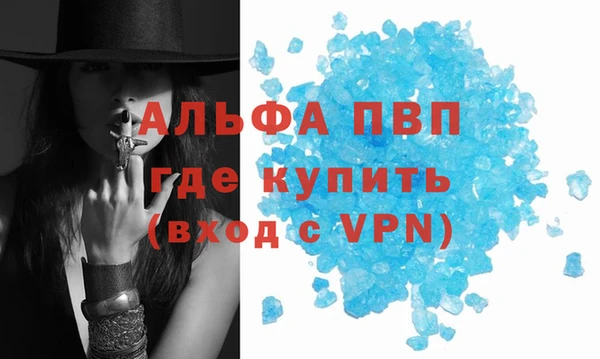 прущие крисы Надым