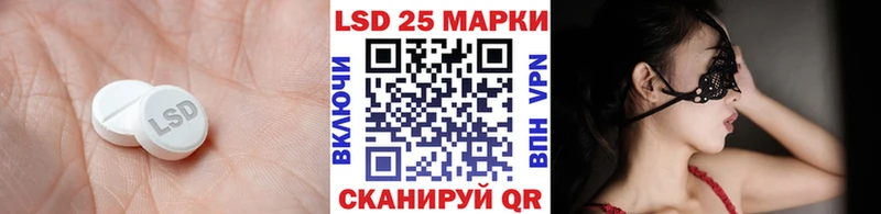 Купить закладки  Канаш  ЛСД экстази ecstasy 