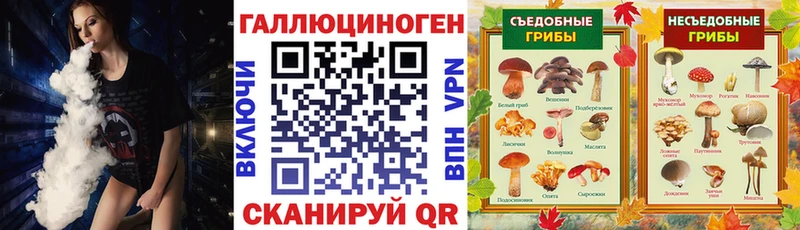 Галлюциногенные грибы прущие грибы  Купить закладки  Канаш 