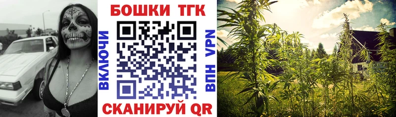 Купить где  Канаш  Бошки марихуана марихуана 